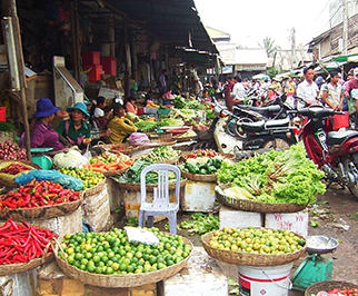 Top Travelling Image