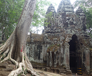 Top Travelling Image